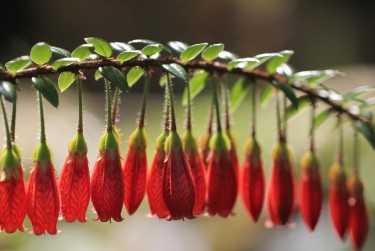 东莞企石私人快速借钱网，轻松解决资金难题