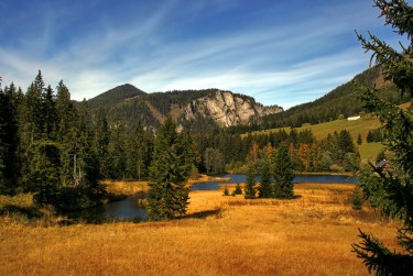 东莞企石民间私贷攻略：揭秘低成本借贷的秘密