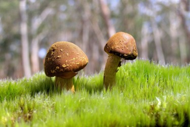 东莞企石私人老板放款：轻松融资的秘密通道